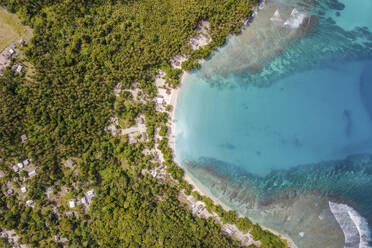 Aerial Top Down View of Beach at Musho Island, Wewak, East Sepik Province, Papua New Guinea. - AAEF26888