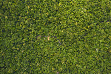 Aerial Top Down View of River in middle of the Jungle of East Sepik Province, Papua New Guinea. - AAEF26896