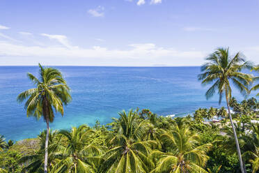 Aerial Drone View of Sea and Palm Trees, Wewak, East Sepik Province, Papua New Guinea. - AAEF26923