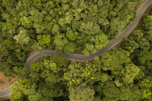 Aerial view of a road crossing the forest on the mountain, Belthangady, Karnataka, India. - AAEF26994