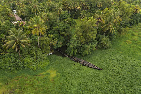 Aerial view of a fisherman with a traditional fishing boat along the river in Alappuzha, Kerala, India. - AAEF26996