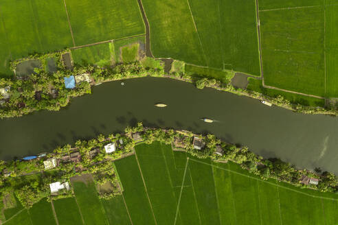 Aerial view of boats sailing the river water in Alappuzha, Kerala, India. - AAEF27001