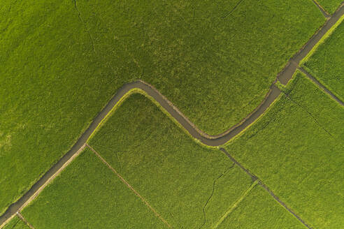 Aerial view of wetland fields, Alappuzha, Kerala, India. - AAEF27009