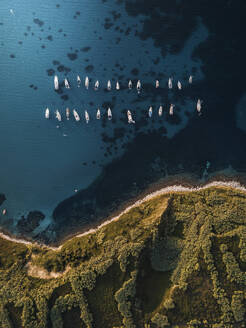 Aerial view of boats docked off Susak Island, Primorje-Gorski Kotar, Mali Losinj, Croatia. - AAEF27057