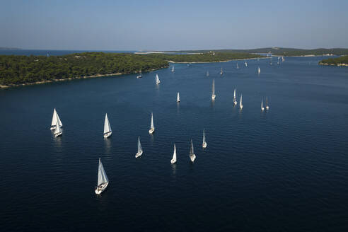 Aerial view of sailing boats for a regatta along the coastline in Zara with beautiful Adriatic coastline and turquoise sea, Croatia. - AAEF27058