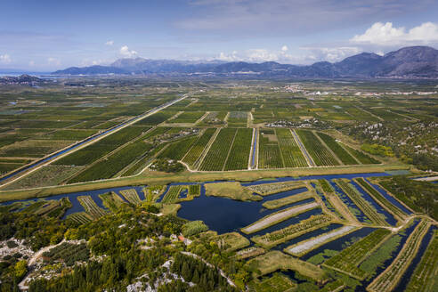 Aerial view of Agricultural fields along the Neretva River delta, Dubrovnik-Neretva, Croatia. - AAEF27064