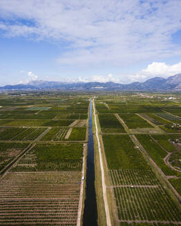 Aerial view of agricultural fields with green crops and irrigation system, Dubrovnik-Neretva, Croatia. - AAEF27065