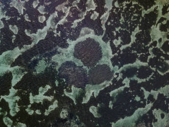 Aerial view of swimmers Pointe aux Canonniers abstract and clear Indian Ocean coastal reef, Grand Baie, Mauritius. - AAEF27165