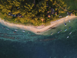 Aerial view of small fishing boats on Balaclava Public Beach at sunset, Mauritius. - AAEF27183