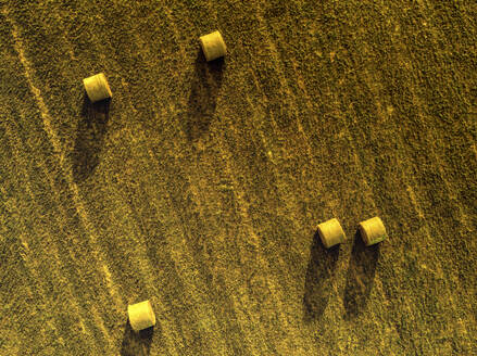 Aerial view of hay rolls in a green pasture at twilight, Kenansville, Florida. - AAEF27196