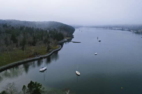 Aerial View of sailing boats along the North West Arm lakefront with fog In Dingle Playground, Halifax, Canada. - AAEF27204
