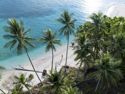 Luftaufnahme einer Person zwischen Palmen am Strand von Masare Island, Sitaro, Indonesien. - AAEF27241