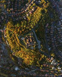 Aerial view of Cetatuia de pe Straja Castle on a hill in autumn, Brasov, Romania. - AAEF27433