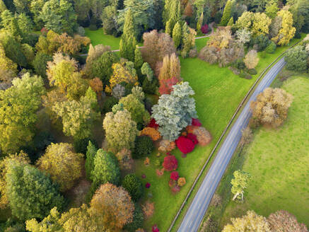 Luftaufnahme des Westonbirt Arboretum, Gloucestershire, England, Vereinigtes Königreich. - AAEF27524