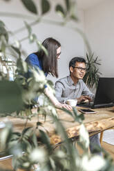 Diverse IT technicians working at startup in office - EVKF00110