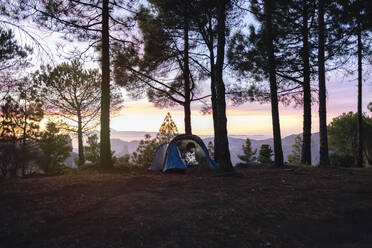 Freelancer working on laptop in tent near trees - ASGF04946