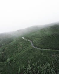 Aerial drone view of a winding road in the green hills of Madeira Island, Portugal. - AAEF27716