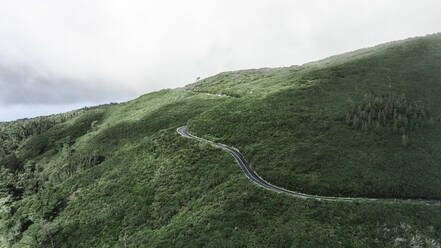 Aerial drone view of a winding road in the green hills of Madeira Island, Portugal. - AAEF27717