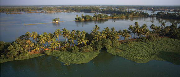 Aerial view of Alleppey backwaters, Kerala, India. - AAEF27749