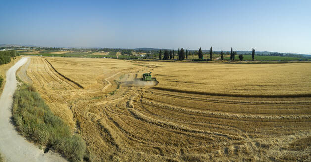 Aerial view of golden wheat and barley fields with a tractor harvesting, Central District, Israel. - AAEF27782