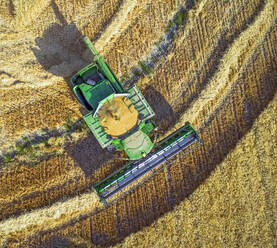 Aerial view of golden wheat fields being harvested by a combine in Central District, Israel. - AAEF27784
