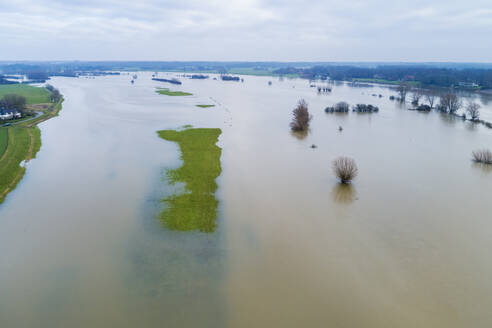 Aerial view of flooded floodplains with trees during high water in river IJssel, Wilp, Gelderland, Netherlands. - AAEF27826