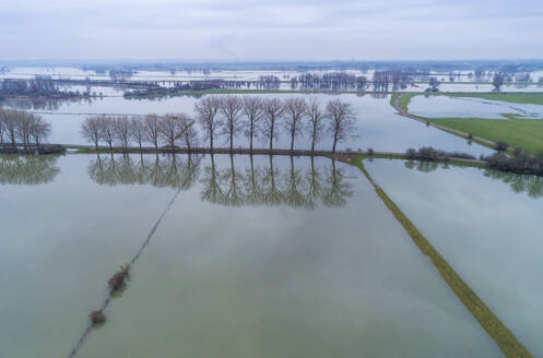 Aerial view of flooded fields with rows of trees during high water in river Nederrijn, Huissense Waarden, Angeren, Gelderland, Netherlands. - AAEF27831