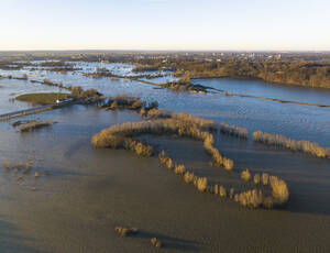 Aerial view of flooded floodplains during high water in river Nederrijn between Randwijk and Wageningen, Betuwe, Gelderland, Netherlands. - AAEF27845