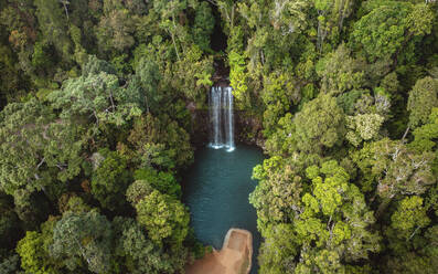Luftaufnahme des Milla Milla Wasserfalls im Regenwald von Cairns, Queensland, Australien. - AAEF27892