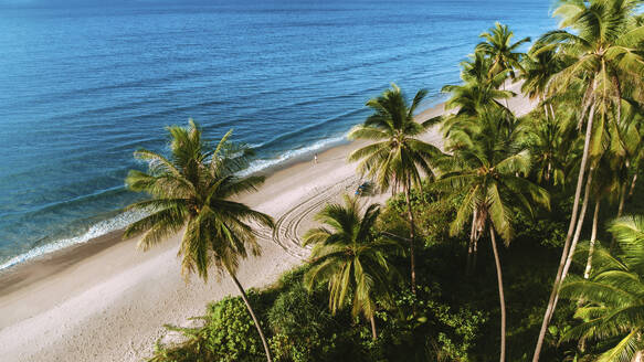 Aerial view of Long Beach in San Vicente, Palawan, Philippines. - AAEF27906