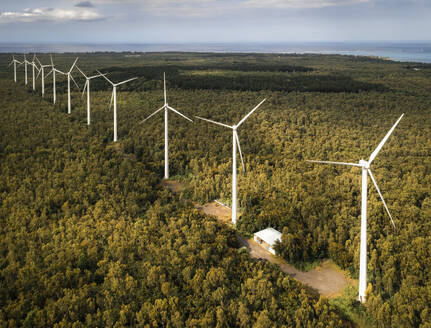 Aerial drone view of wind turbines in a tropical forest, Bras d'Eau National Park, Flacq, Mauritius. - AAEF27927