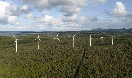 Luftaufnahme einer Drohne von Windturbinen in einem tropischen Wald, Bras d'Eau National Park, Flacq, Mauritius. - AAEF27933