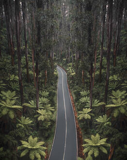 Luftaufnahme einer Drohne vom berühmten Black Spur Drive in Dandenong, Victoria, Australien. - AAEF27945