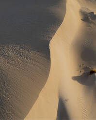 Drohnenansicht der Sanddünen von Fowlers Bay auf der Eyre Peninsula, Südaustralien, Australien. - AAEF27950