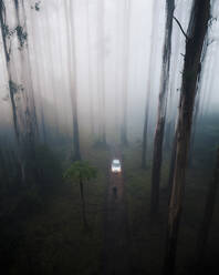 Aerial drone view of a male person standing in the forest in Dandenong Ranges, Yarra Valley, Victoria, Australia. - AAEF27970