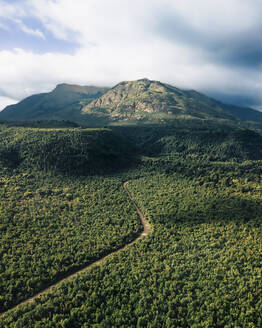 Aerial drone view of the Patagonian forest in Los Alerces National Park in Chubut Province, Argentina. - AAEF27976