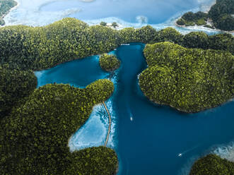 Aerial drone view of a catamaran sailing the coast of the Sugba Blue Lagoon, a tropical lagoon in the Siargao island, Surigao del Norte, Philippines.. - AAEF27989