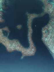 Drohnenansicht eines Katamarans, der an der Küste der Sugba Blue Lagoon auf der Insel Siargao, Philippinen, entlangsegelt. - AAEF27993