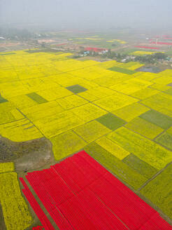 Luftaufnahme von leuchtenden Patchwork-Feldern zum Trocknen von roten Tüchern in Narsingdi, Division Dhaka, Bangladesch. - AAEF28014