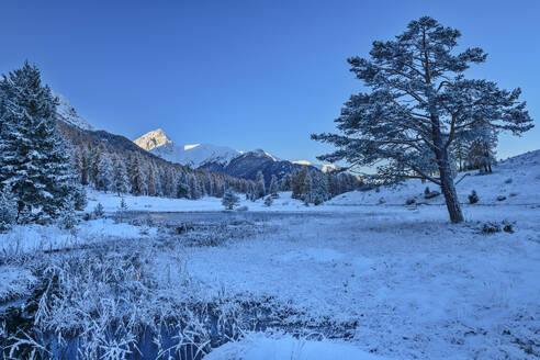 Lai Nair See in der Nähe der schneebedeckten Sesvenna Alpen bei Sonnenaufgang, Tarasp, Unterengadin, Engadin, Graubünden, Schweiz - ANSF00792