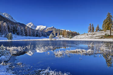 Lai Nair See mit Spiegelung in den schneebedeckten Sesvenna Alpen, Tarasp, Unterengadin, Engadin, Graubünden, Schweiz - ANSF00794