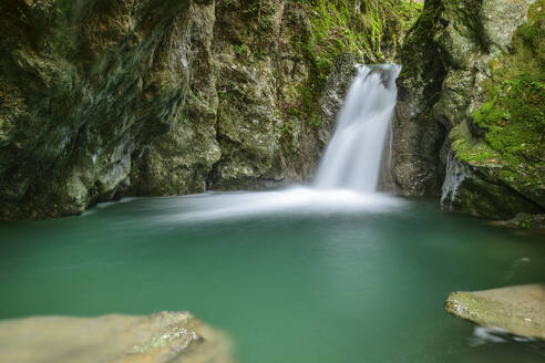 Wasserfall Cascata Candalla von moosbewachsenen Felsen im Wald, Camaiore, Apuanische Alpen, Toskana, Italien - ANSF00804