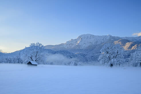 Scheune und kahle Bäume in der Nähe der Bayerischen Alpen im Winter, Oberbayern, Bayern, Deutschland - ANSF00812