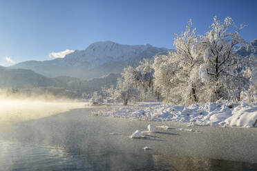 Fog over Kochelsee near frozen bare trees at sunrise, Upper Bavaria, Bavaria, Germany - ANSF00814