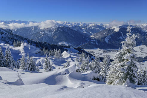 Schneebedeckte Fichten an der Schwalbenwand an einem sonnigen Tag, Dientener Berge, Salzburg, Österreich - ANSF00832