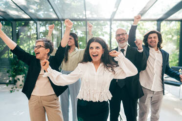 Businessmen and businesswomen making a corporate party after the business conference to celebrate the year goals and achievements. - DMDF11194