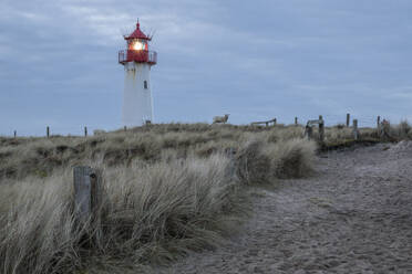 Deutschland, Schleswig-Holstein, List, Sandwanderweg in der Abenddämmerung mit Leuchtturm List West im Hintergrund - KEBF02863