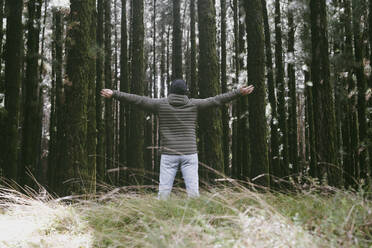 Mature man standing with arms outstretched towards trees in forest - SIPF02895