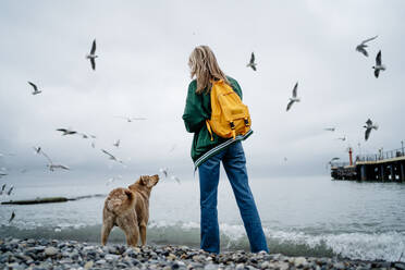 Woman feeding seagulls standing with dog at seashore - MDOF01946