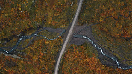 Aerial view of a winding river crossing an autumn-colored landscape with a road bisecting the scene. - ADSF53365